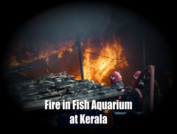 FIRE IN KERALA COMMERCIAL BUILDING CAUSES PANIC